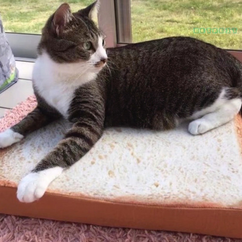 Cama Para Gato Cojín Almohada Forma Pan Felpa Suave Esponjos