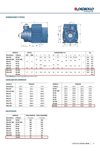 Imagen 7 de 8 de Electrobomba Periférica Pedrollo Pk-300 - 3 Hp - Trifasica