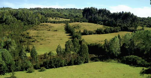 Terreno En Chiloe - Reserva Chucao