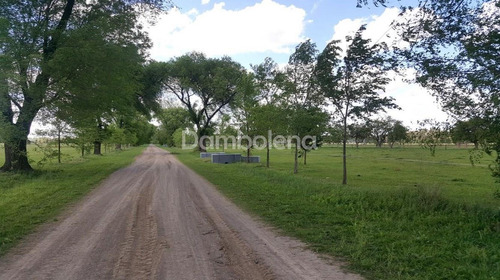 Imagen 21 de 26 de Terreno Fraccion En Venta Ubicado En Cañuelas, Resto De La Provincia, Buenos Aires