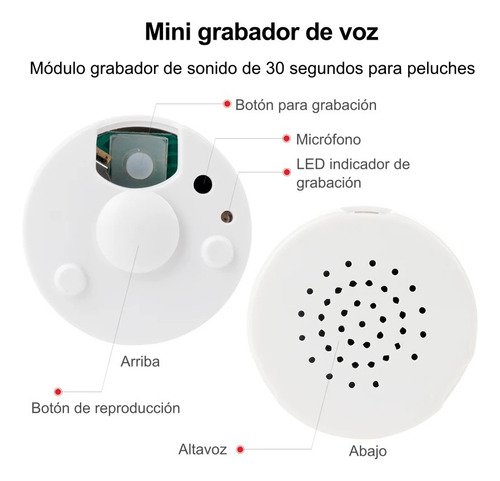 Caja Modulo De Sonido De 30 Segundos Para Peluches