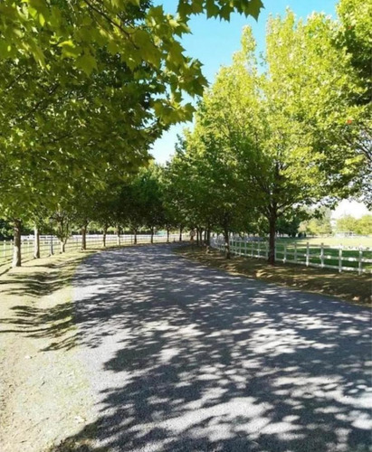 Imagen 4 de 14 de Terreno En Venta En Haras Del Sol