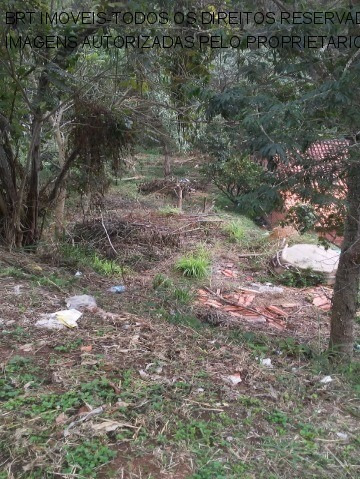 Imagem 6 de 6 de Terreno - Te00137 - 68088456