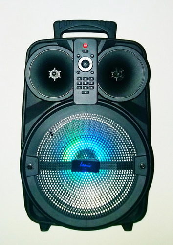 Bafle Bluetooth Karaoke Parlante A Bateria Fm Luces