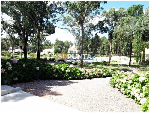 Imagen 13 de 30 de Apartamento En Alquiler Anual