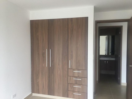 Imagen 7 de 12 de Apartamento En Alquiler, En Ricardo J Alfaro, 75m2