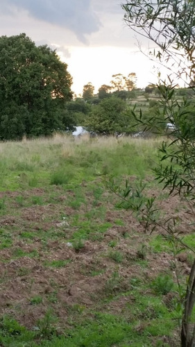 Imagen 9 de 12 de Terreno En Texcoco (venta)