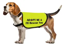 Comprar Chaleco De Adopción Para Perros Adopt Me I Will Rescue You