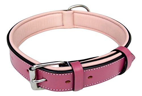 Collar De Cuero Acolchado Para Perro - Rosa Frambuesa