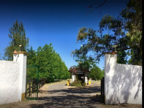 Imagen 3 de 4 de Terreno - Casuarinas Del Pilar