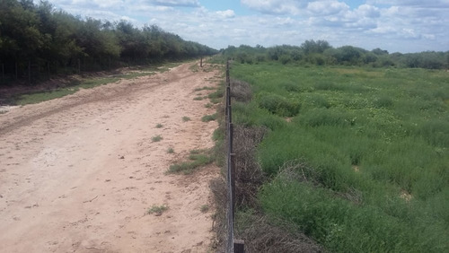 Imagen 21 de 30 de Se Vende Campo En Cordoba Listo Para Trabajarlo