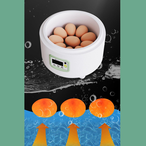 Mini Incubadora De Ovos, Ferramenta De Incubação De Aves