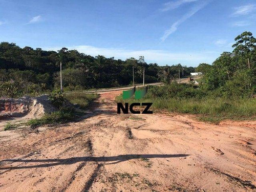 Imagem 4 de 12 de Terreno À Venda, 18000 M² Por R$ 740.000,00 - Ponto Certo - Camaçari/ba - Te0876