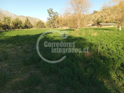 Agrícola En Venta En Combarbalá
