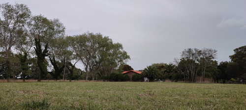 Imagen 10 de 13 de Lote B° Copacabana Con Escritura Sobre Av Suipacha De 400 Mts2