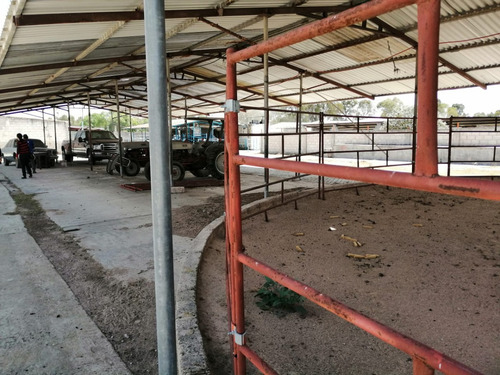 Rancho En Venta Cerca De Polotitlán Querétaro - Precio De Remate