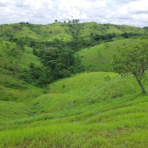 Finca En Venta - Guárico - Granja De Porcina
