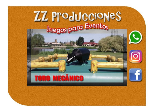 Imagen 7 de 7 de Toro Mecanico Recambio Cuero / Lona