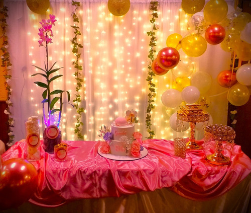 Imagen 2 de 10 de Cumpleaños 15 Recibimientos Bodas Aniversarios Casamientos