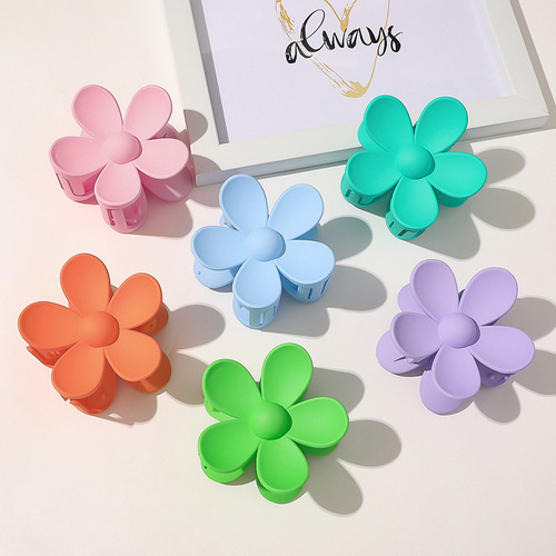 Pinzas Pequeñas De Acrílico For El Pelo, 6 Unidades, De Plá