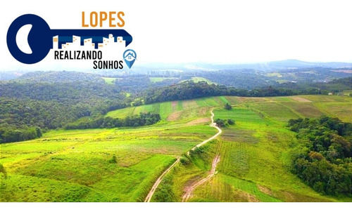 Imagem 10 de 26 de 17o Terrenos Bem Localizados