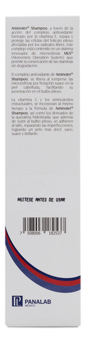 Aminoter Shampoo Reparación Y Protección Microesferas 150ml