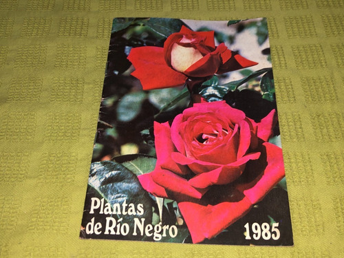 Plantas De Río Negro 1985