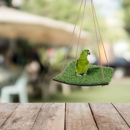 Hamaca Lizard: Columpio De Césped Artificial Para Loros Y Pá
