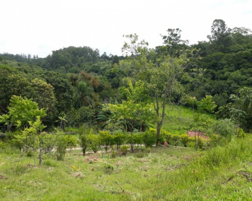 Imagem 19 de 30 de Vendo Chácara 4.065 M² Salão 150 M² 6 Quartos 2 Banheiros Jarinu/sp. - Ch00025 - 33507189