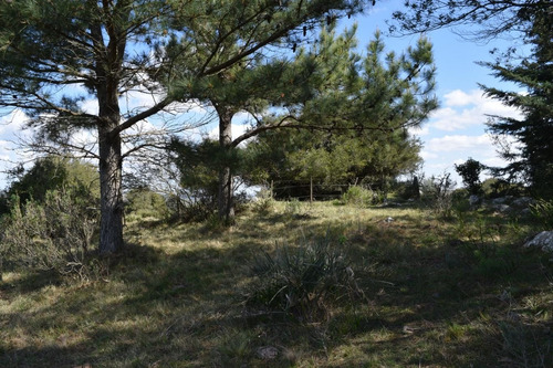 Imagen 7 de 25 de Venta Chacra Pueblo Eden Maldonado Ruta 60