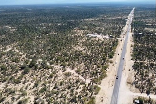 2 Hectareas En Carretera A La Ventana, En El Sargento B.c.s.