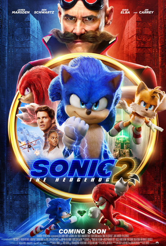 Poster Cartaz Sonic 2 O Filme A - 30x45cm
