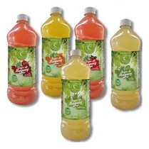 Comprar Bebida 5 Jugo Verde Santo Puro Arandano Nopal Granada... 1 L