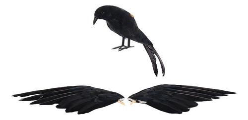 Zz Plumas De Halloween Con Forma De Pájaro Cuervo, Tamaño