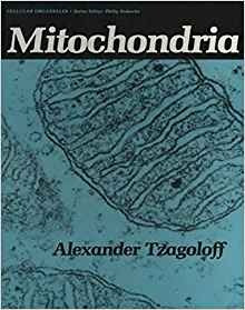 Mitochondria (advances In Experimental Medicine And Biology)