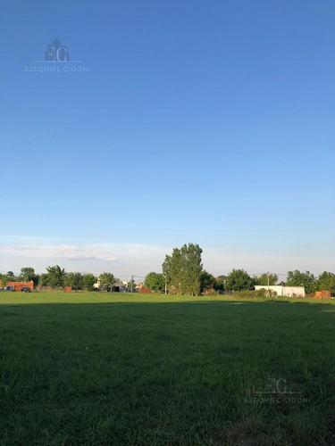 Imagen 8 de 8 de Terreno - Las Tardes