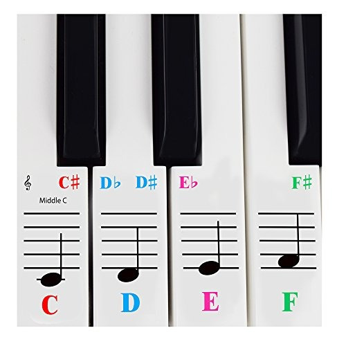 Piano Sticker For 61 Key Keyboards  Transparent And Removab
