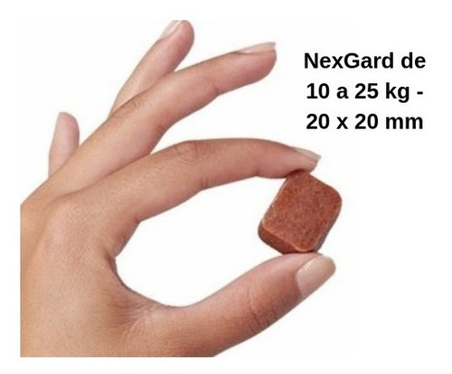 Antipulgas E Carrapatos Para Cães Nexgard 10,1 A 25kg Com 1