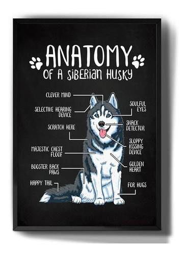 Marco decorativo de anatomía de perros husky, dibujo
