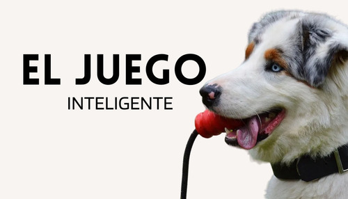 Juego Inteligente - Adiestramiento Canino