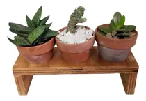 Comprar Porta Maceta Planta Cactus Suculenta Madera Triple C Maceta