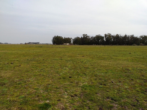 Imagen 2 de 14 de Campo En Venta En Punta Indio - 77 Hectáreas