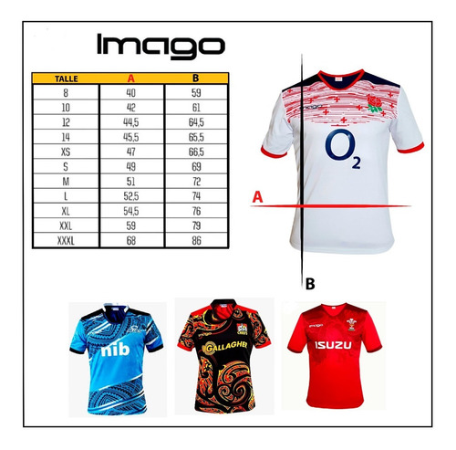 Imagen 3 de 7 de Camiseta Rugby Gales #1 Strings