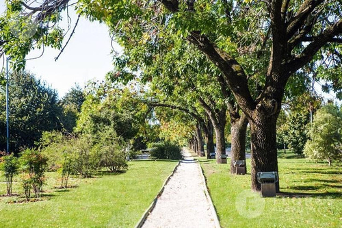 Flores Prop. Vende Lote En Ayres De Pilar