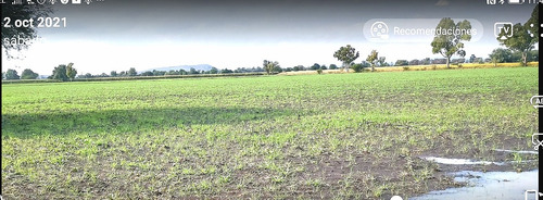 Remate De Fabuloso Lote Para Agricultura, Invernaderos, Rancho O Casas De Descanso. Luz, Agua Y Aire Puro A Tu Disposición.