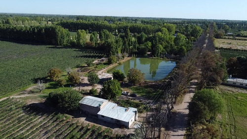 Exclusivo Viñedo De 20 Ha. En Cuadro Benegas