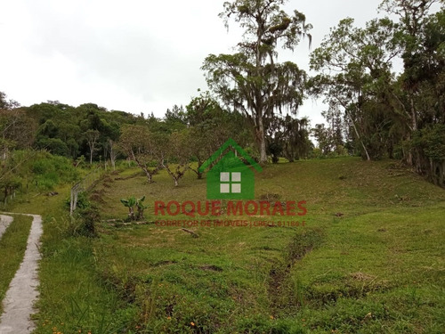Imagem 10 de 14 de Terreno Com 5.100m² Em Juquitiba/miracatu-sp 0837