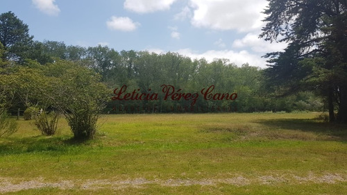 Venta De Chacra En Maldonado, Punta Ballena 5 Has - Ref: 19265