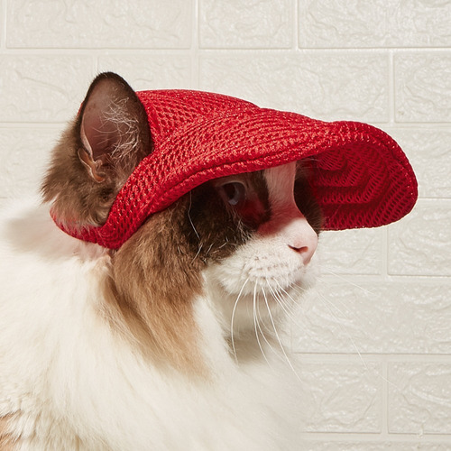 Gorra De Malla Transpirable Para Perros Y Gatos, Transpirabl