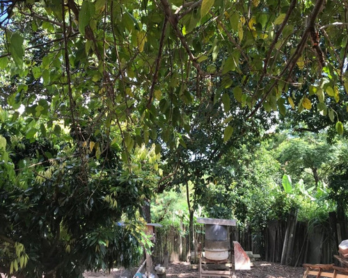 Imagem 6 de 18 de Chácara À Venda Na Vila Minerão - Sorocaba/sp - Ch00803 - 70632841